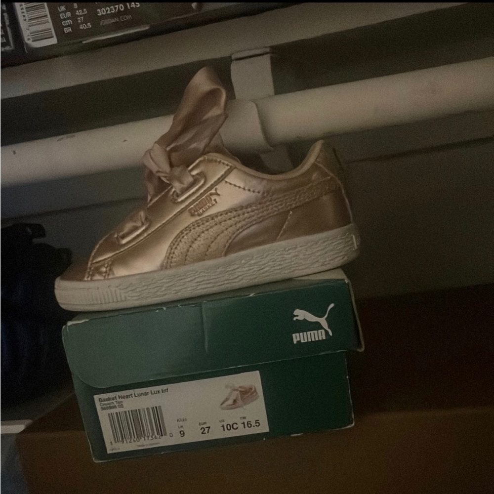 Gold princess pumas